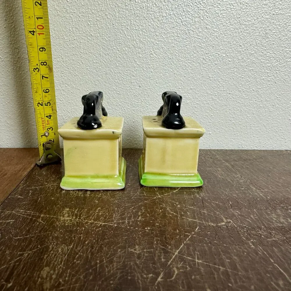 Vintage JAPAN antique telephone kitsch floral salt pepper shakers‎